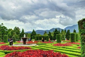 Things To Do In Bogor