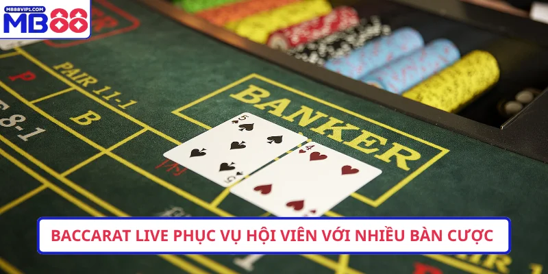 Baccarat live phục vụ hội viên với nhiều bàn cược 