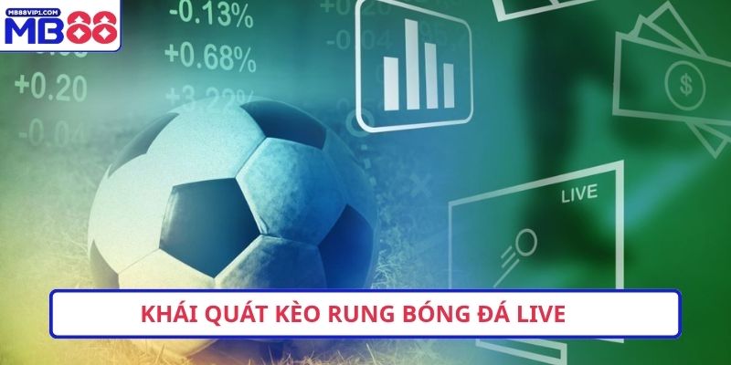 Khái quát kèo rung bóng đá live